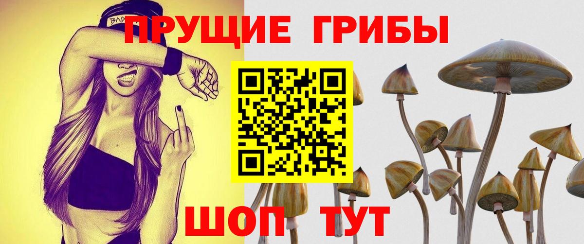 Псилоцибиновые грибы мицелий  Вход с VPN  Галлюциногенные грибы Psilocybine cubensis  Луховицы 
